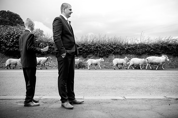 Laura and Tim's Wedding at The Kinmel in Abergele with Celynnen Photography.