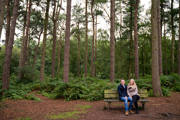 Katie and Paul's Pre Wedding Shoot in Delamere Forest with Celynnen Photography