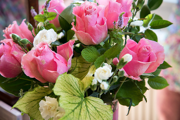 Rob and Stef's Wedding at Iscoyd Park with Celynnen Photography