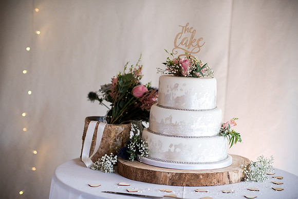 Rob and Stef's Wedding at Iscoyd Park with Celynnen Photography