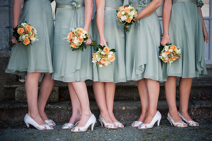 bridesmaids group picture at plas newydd anglesey